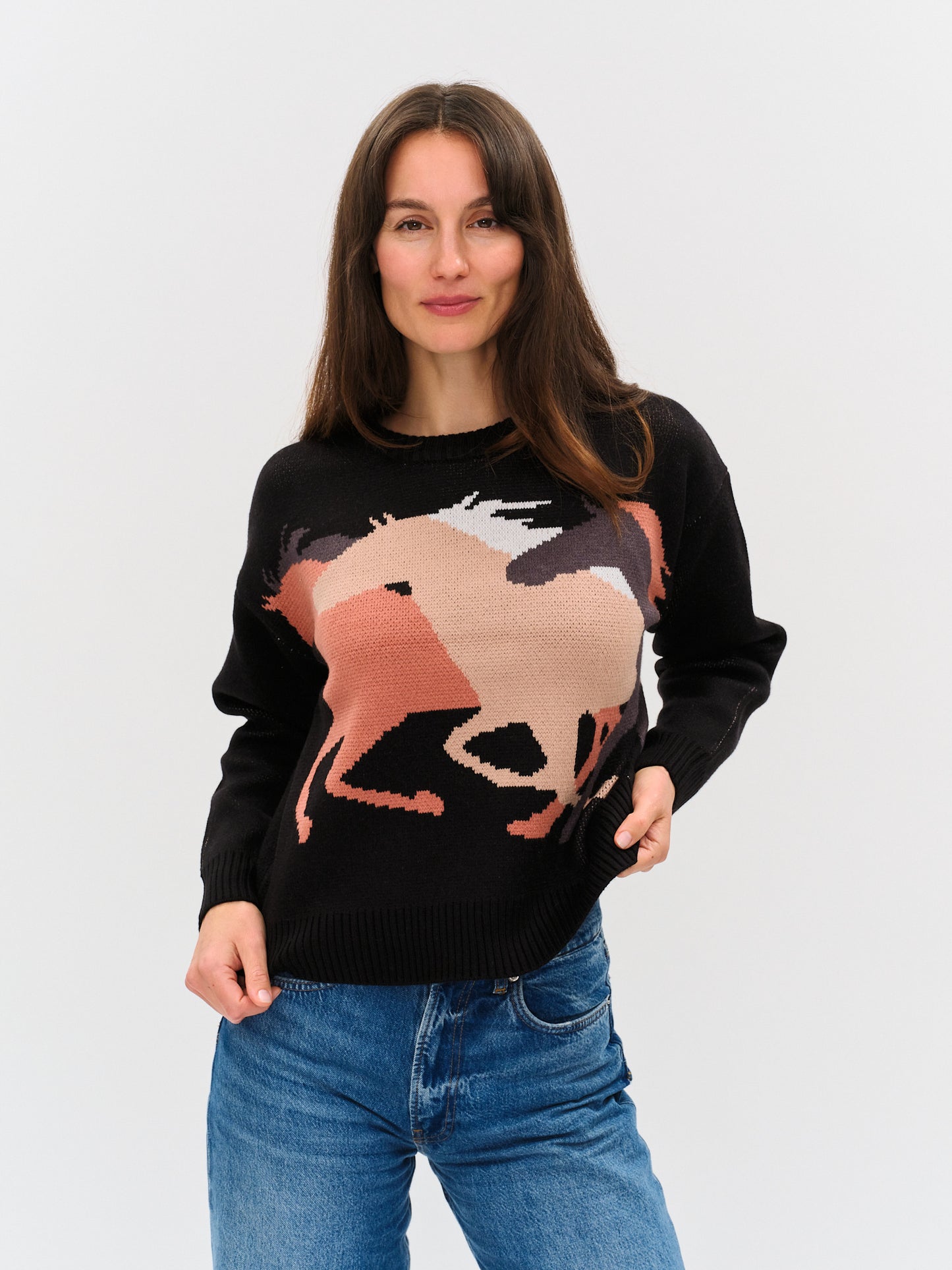 wild horses sweater [black]
