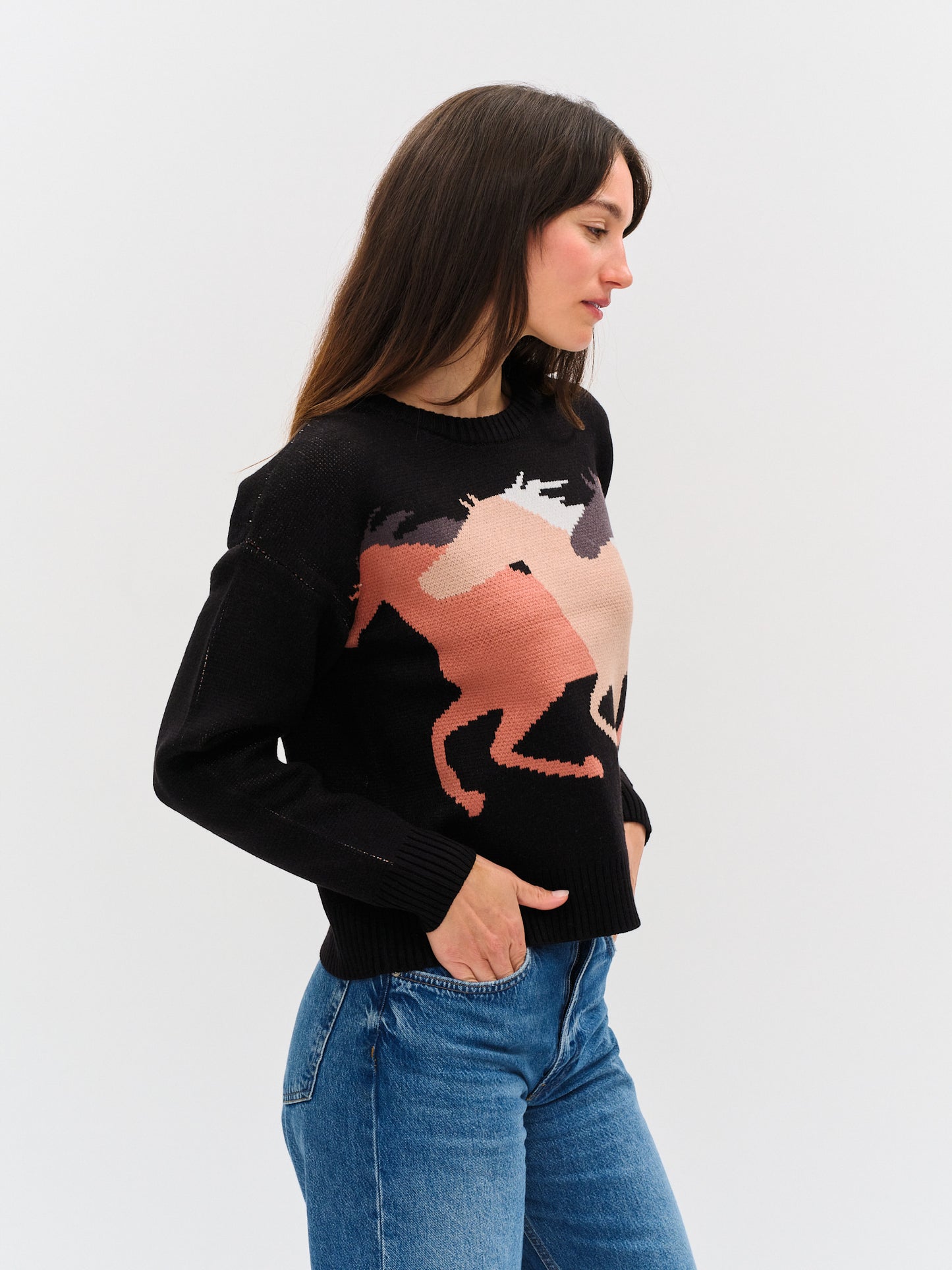 wild horses sweater [black]