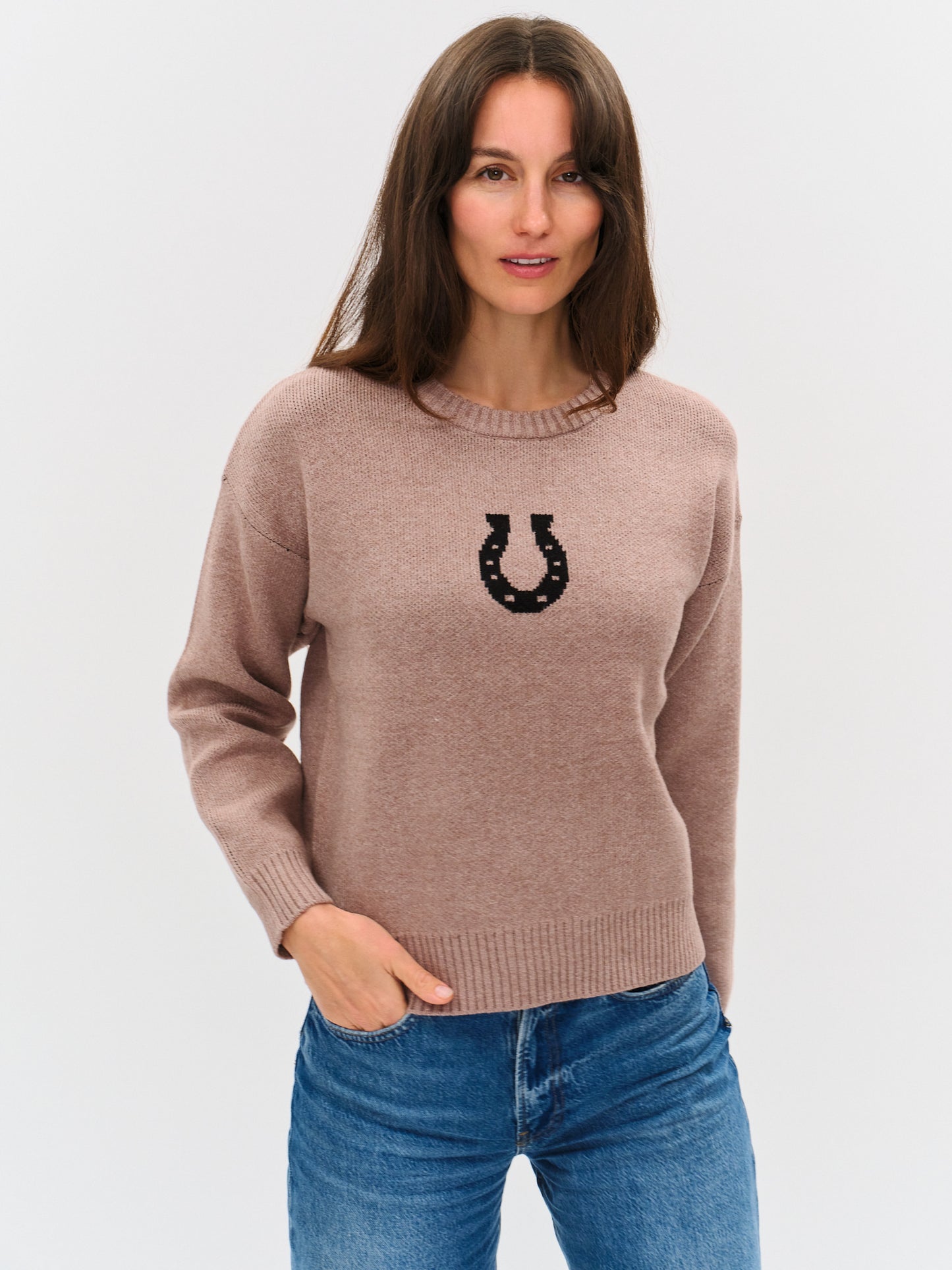 horseshoe sweater [brown]