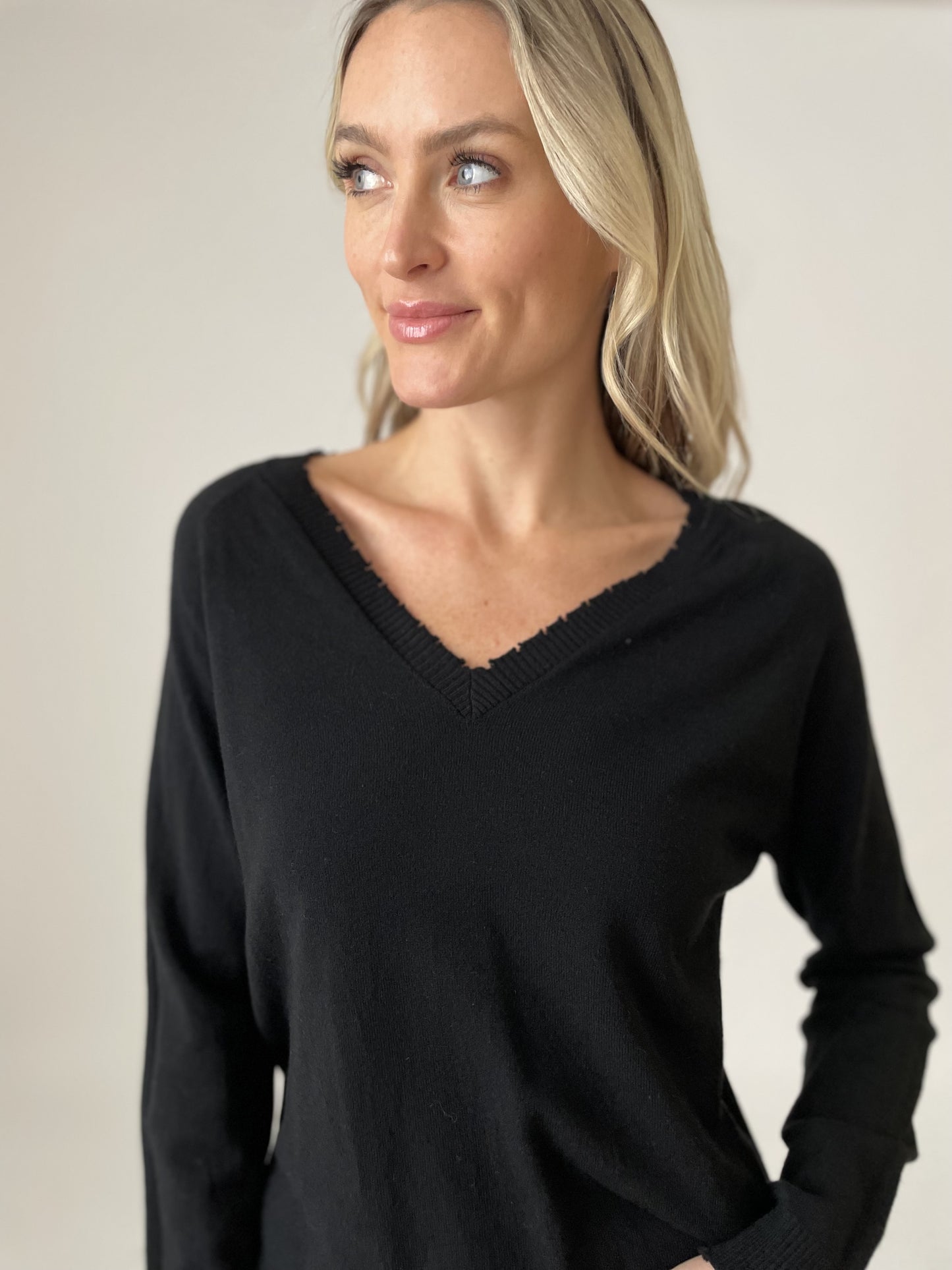 andrea v-neck sweater [black]