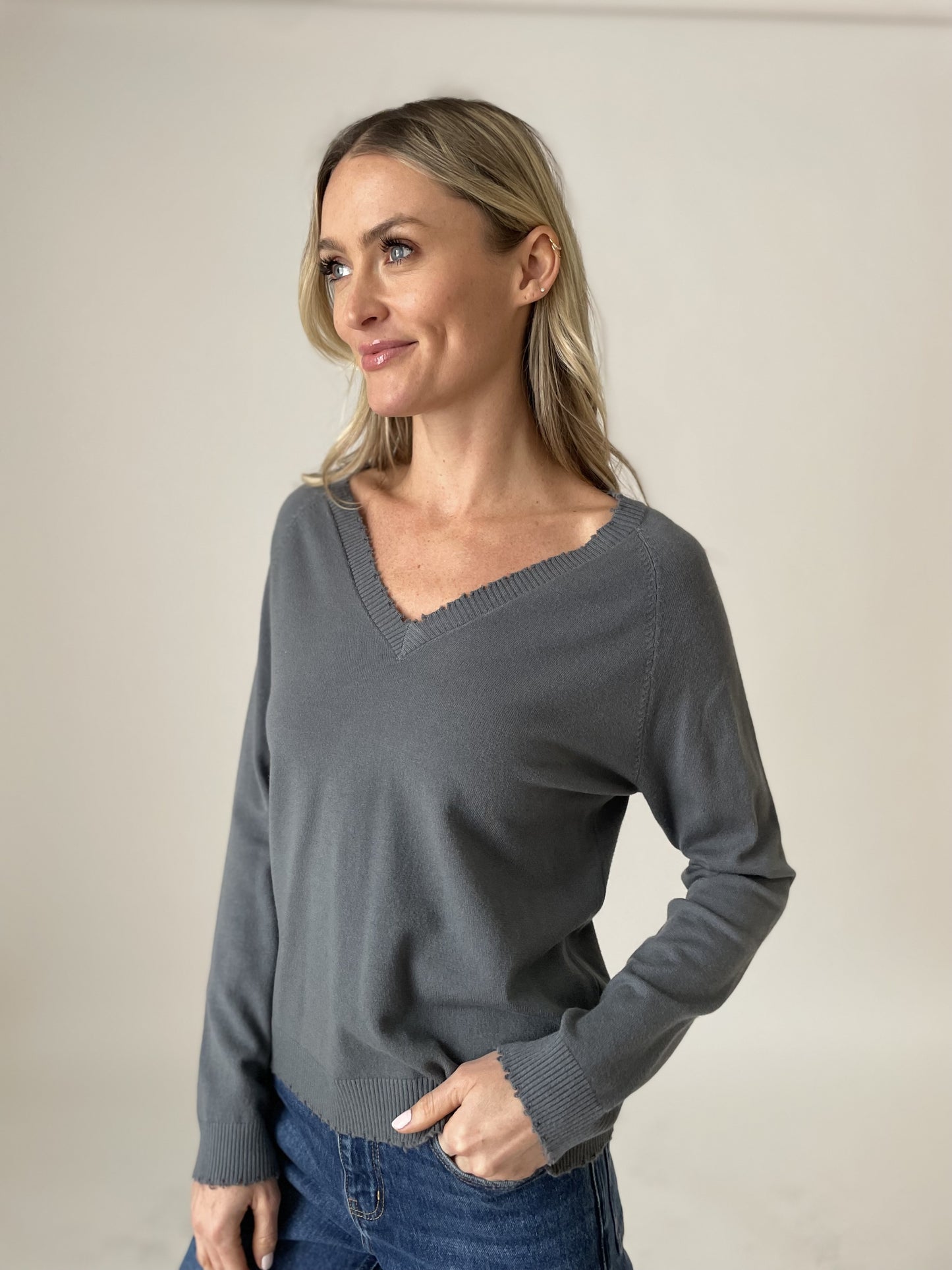 andrea v-neck sweater [slate]