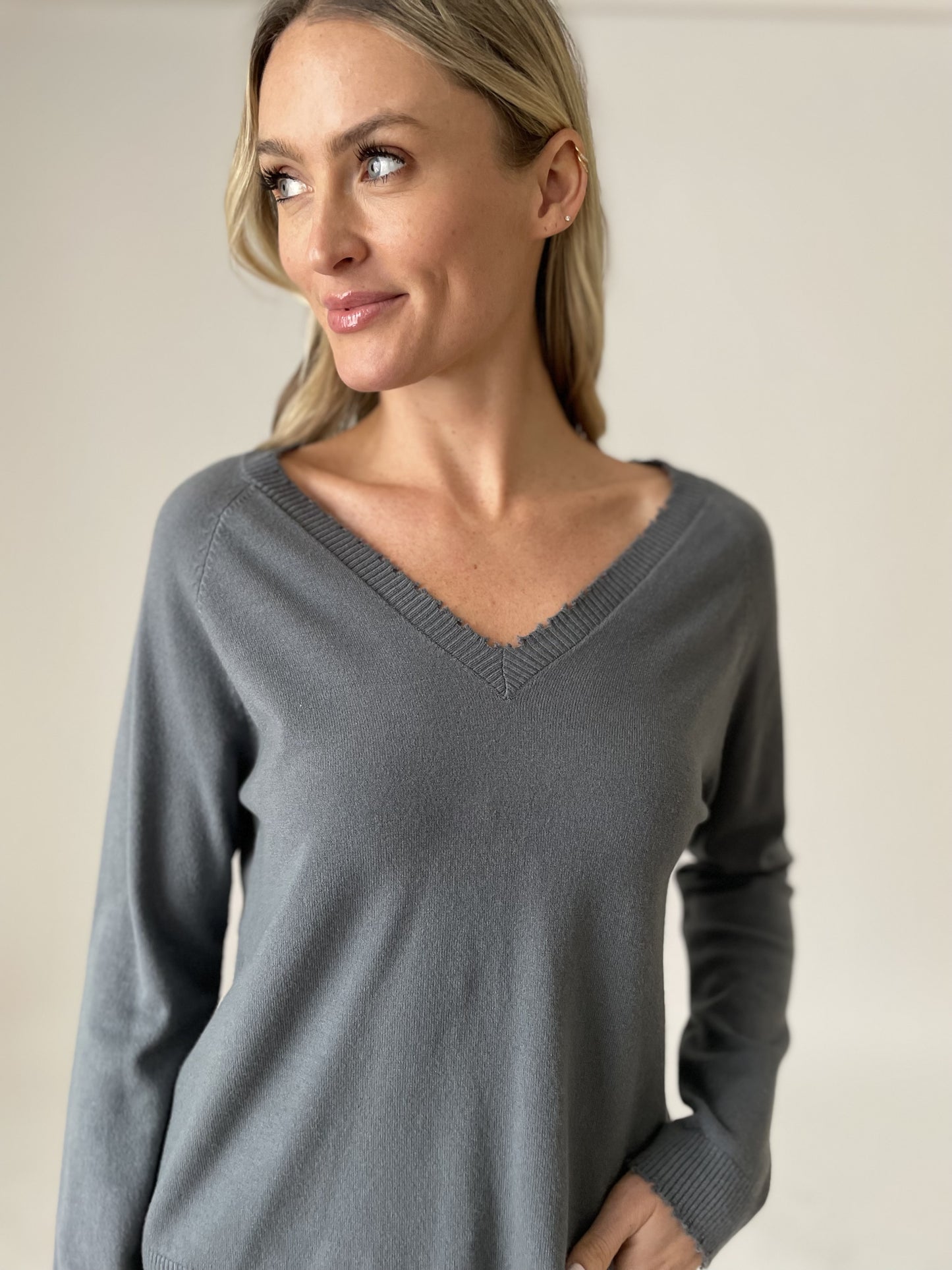 andrea v-neck sweater [slate]